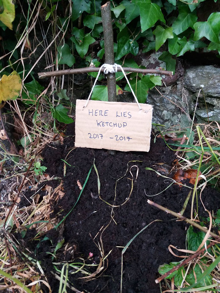 man-tweets-ketchup-exploding-morrisons-3