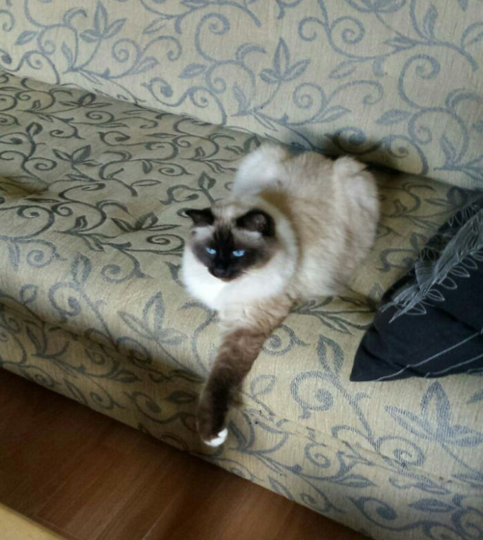 Nothing's Wrong, Just Chillin'