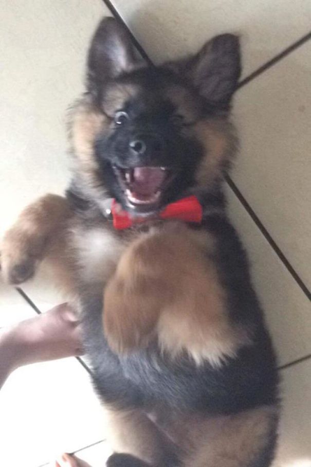 Waaaasssssuuuuuupppp