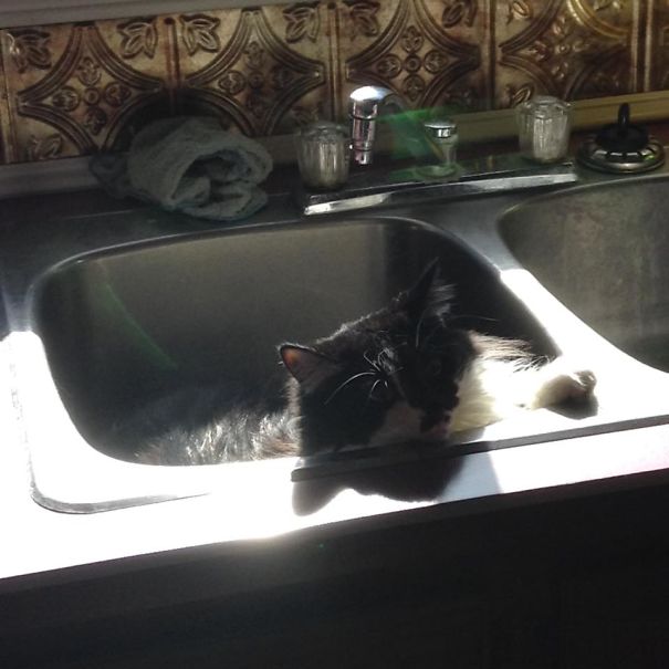 Oh Hey Mom What's Up