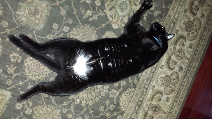 No Worries Says Pausey.