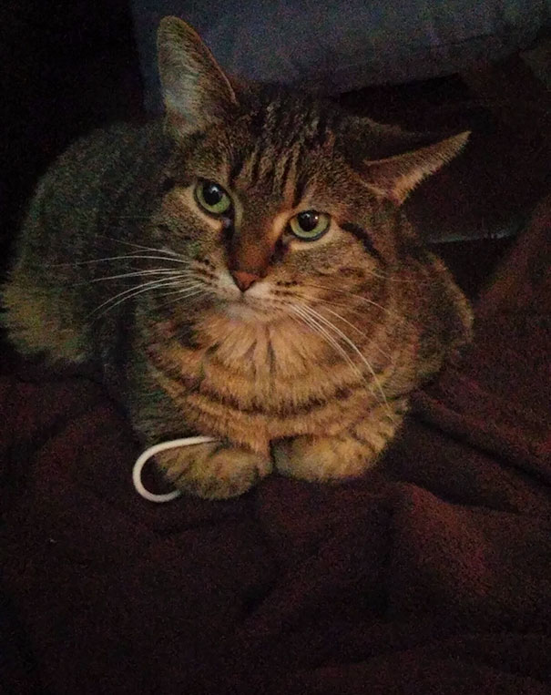 She's Always Stealing My Hair Ties