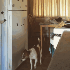 Fred Was Caught Red Handed On My Sting Operation But It Didn't Look Like He Found Anything To His Liking