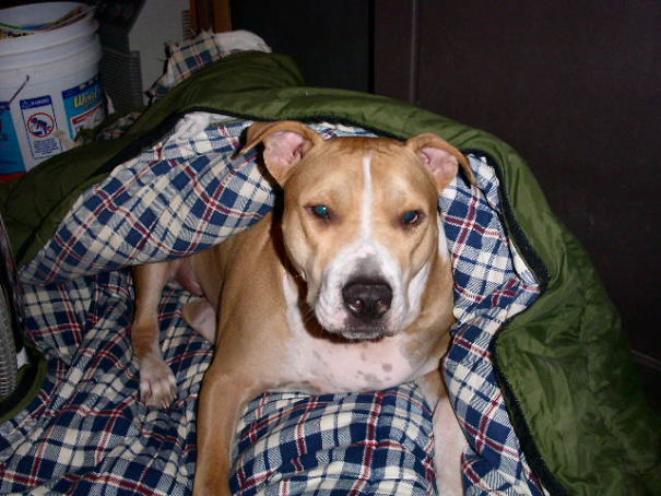 Ready To Go Camping Scrappy