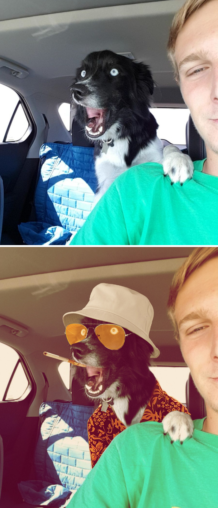 We Can't Stop Here, This Is Bat Country!