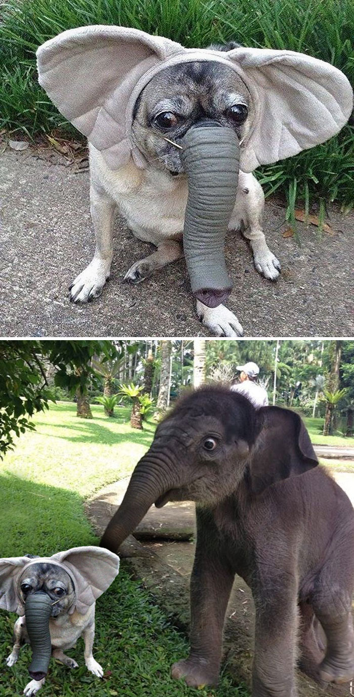 Frightened And Confused