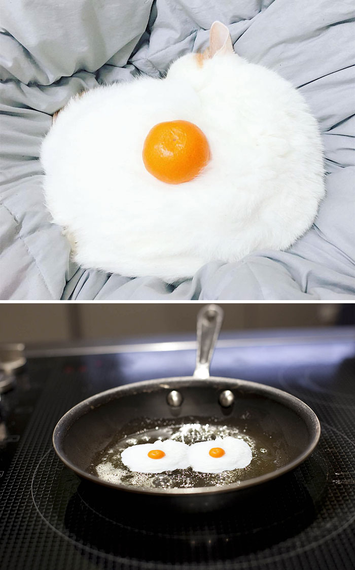 What Did You Expect?