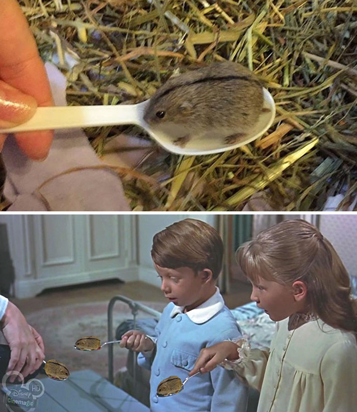 "... In The Most Delightful Way"