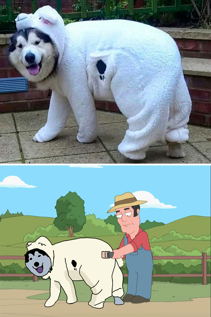 Yeah, Yeah, Shear It. F*cking Shear Me.