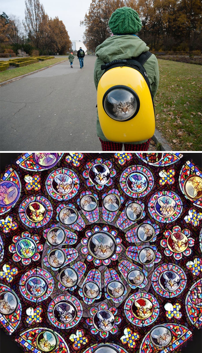 Cat Sitting In A Bag With A Porthole