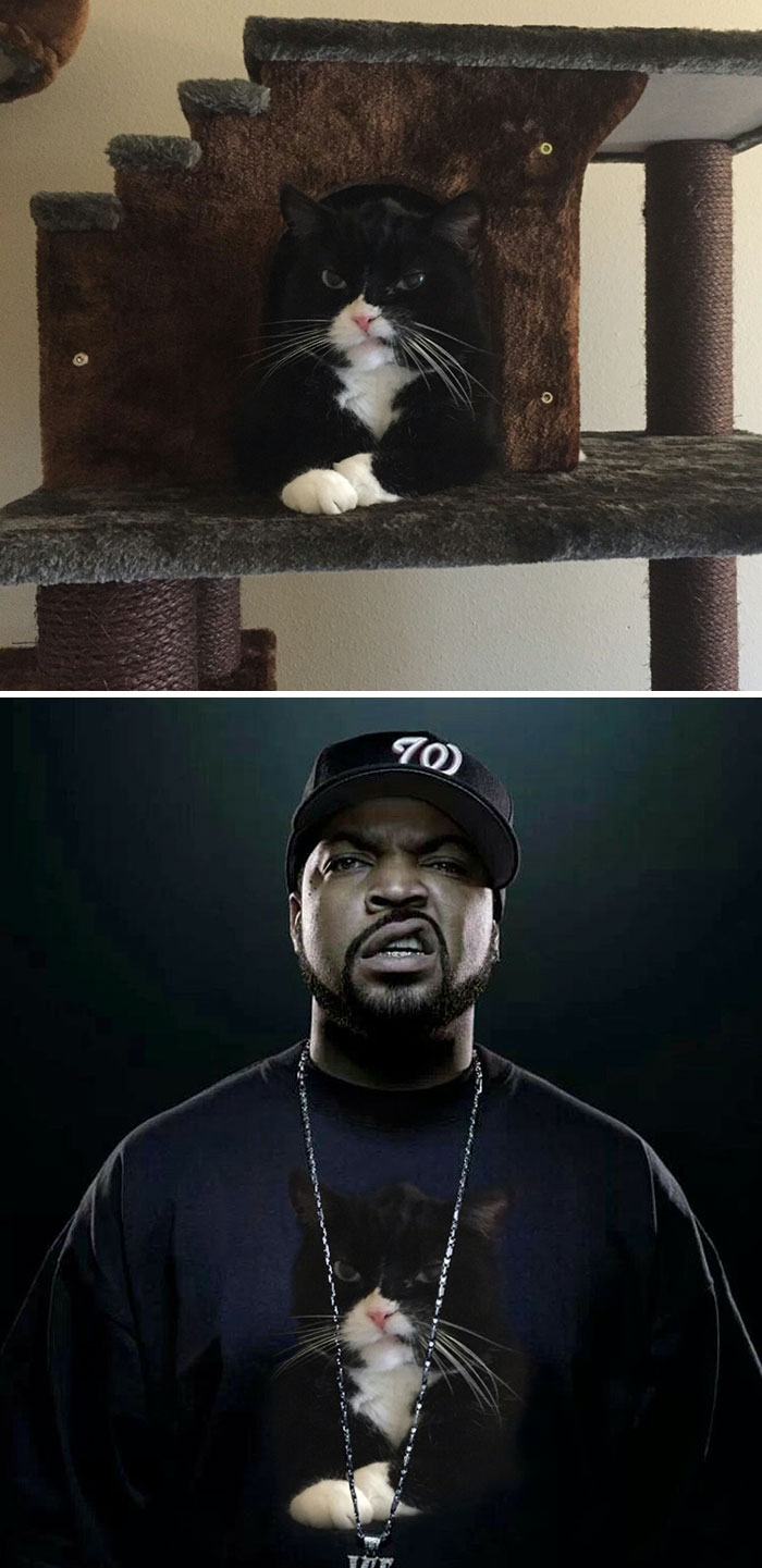 Mean Mug Inspiration