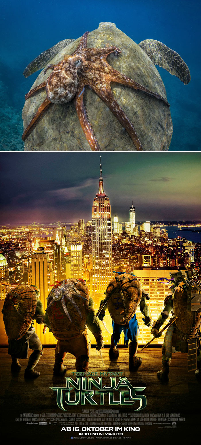 Octopus Riding A Ninja Turtle