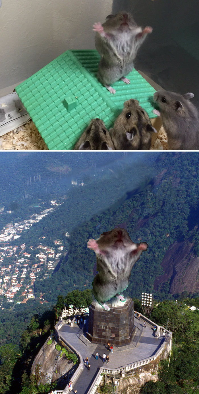 Hamster Preaching To The Masses Photoshop Battle