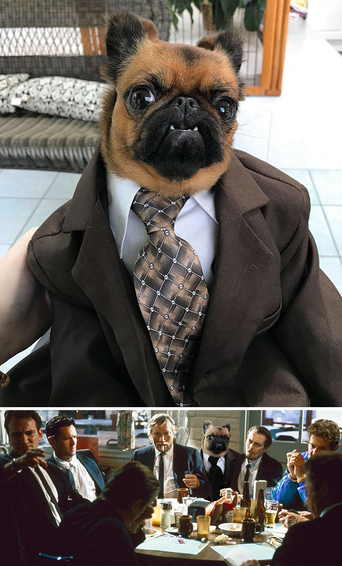 Reservoir Pug