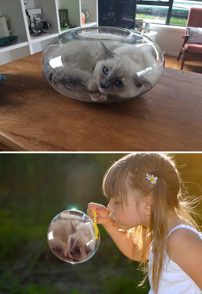 Young Girl Blowing A Cat