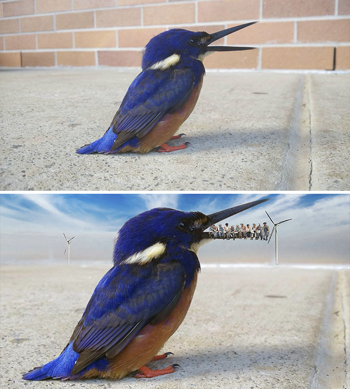 This Beautiful Little Thing