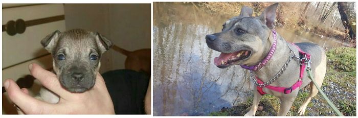 From 4wk Old Runt To 8yr Old Princess