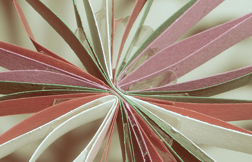 I Spent So Long On This Photograpgy!