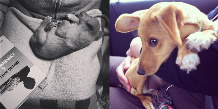 Pipas, 1 Month And 2 Years Old!