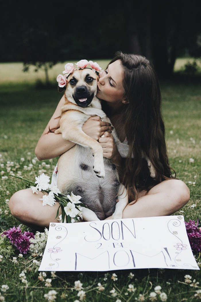 This Pregnant Dog Just Had A Maternity Photoshoot, And People Just Can't Handle It