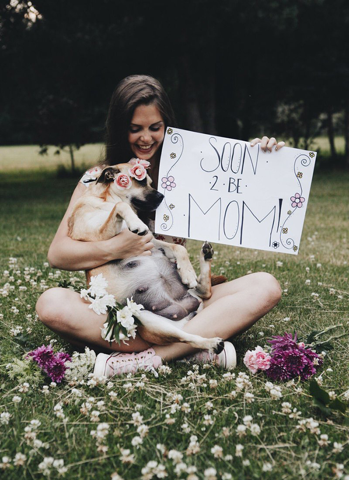 This Pregnant Dog Just Had A Maternity Photoshoot, And People Just Can't Handle It
