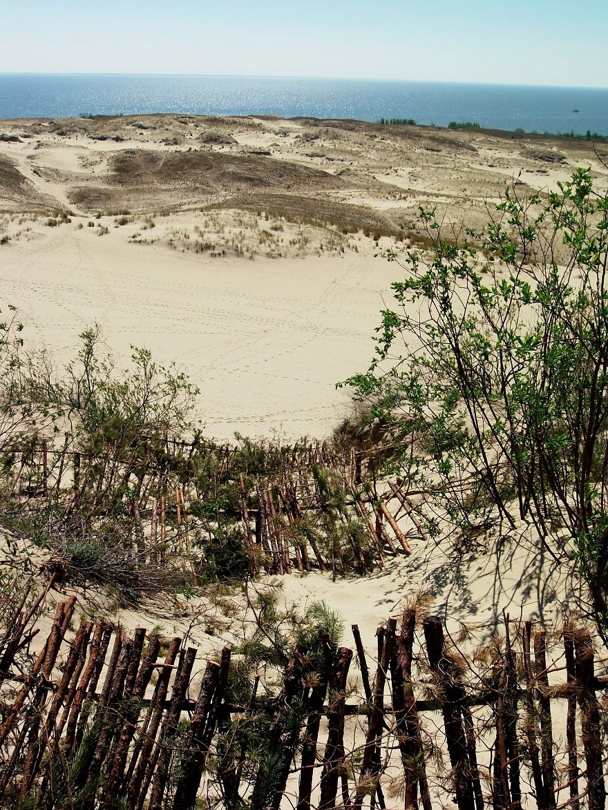 This Unique Platform Lets Everyone Get To Know A Country From Everyday Perspective