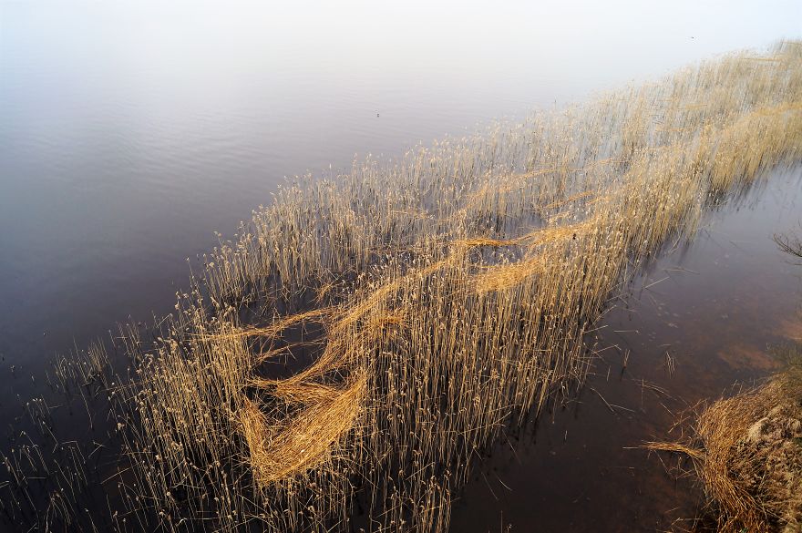 This Unique Platform Lets Everyone Get To Know A Country From Everyday Perspective