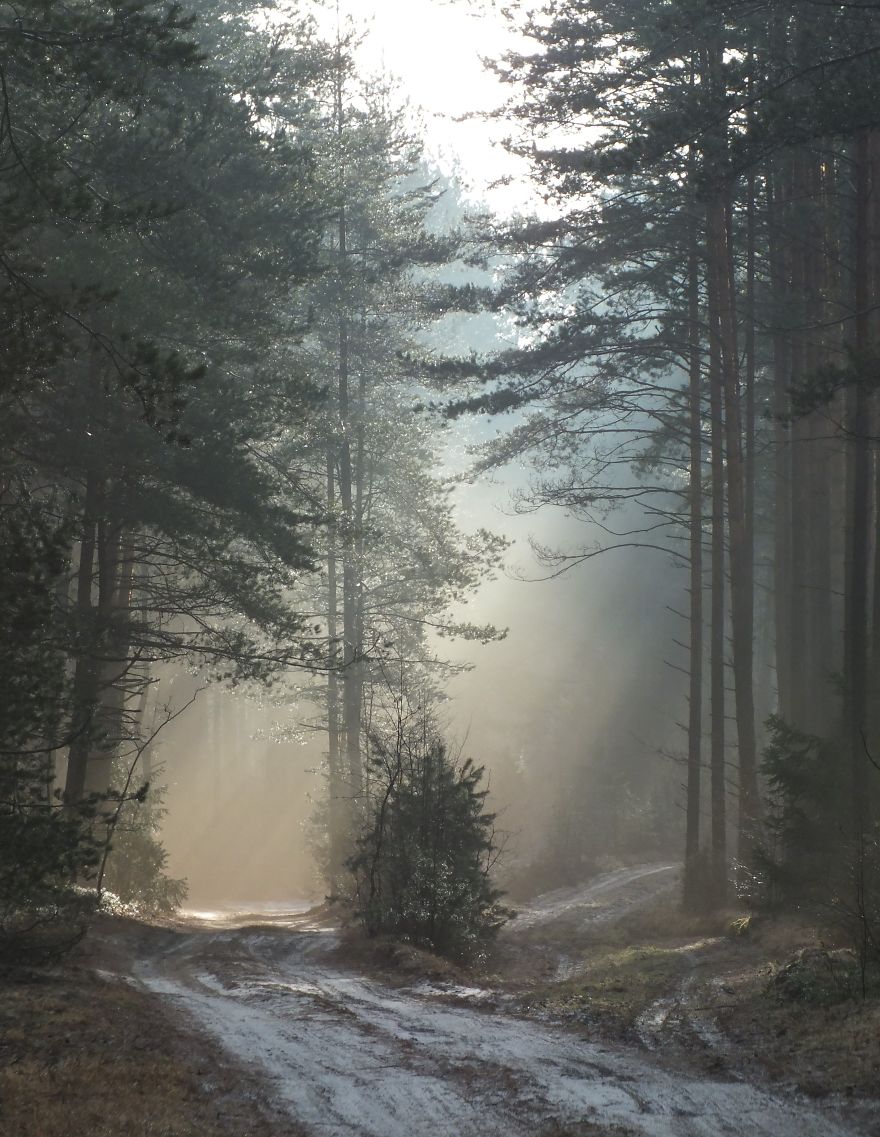 This Unique Platform Lets Everyone Get To Know A Country From Everyday Perspective