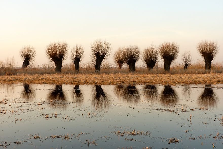 This Unique Platform Lets Everyone Get To Know A Country From Everyday Perspective