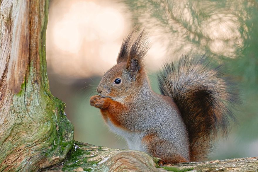 This Unique Platform Lets Everyone Get To Know A Country From Everyday Perspective