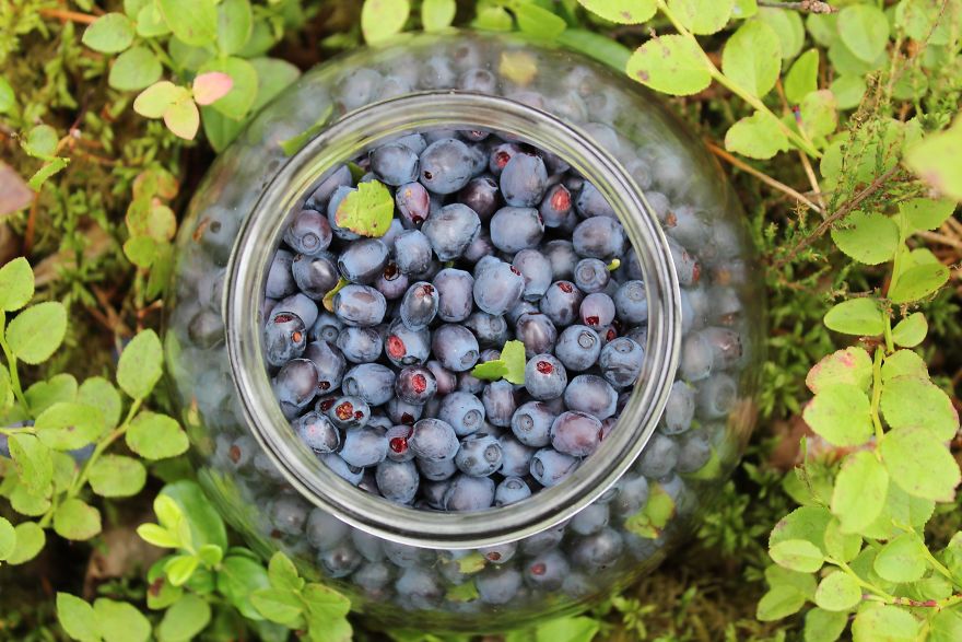 This Unique Platform Lets Everyone Get To Know A Country From Everyday Perspective