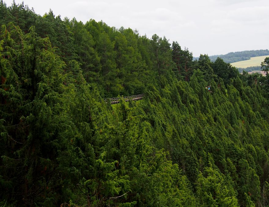 This Unique Platform Lets Everyone Get To Know A Country From Everyday Perspective