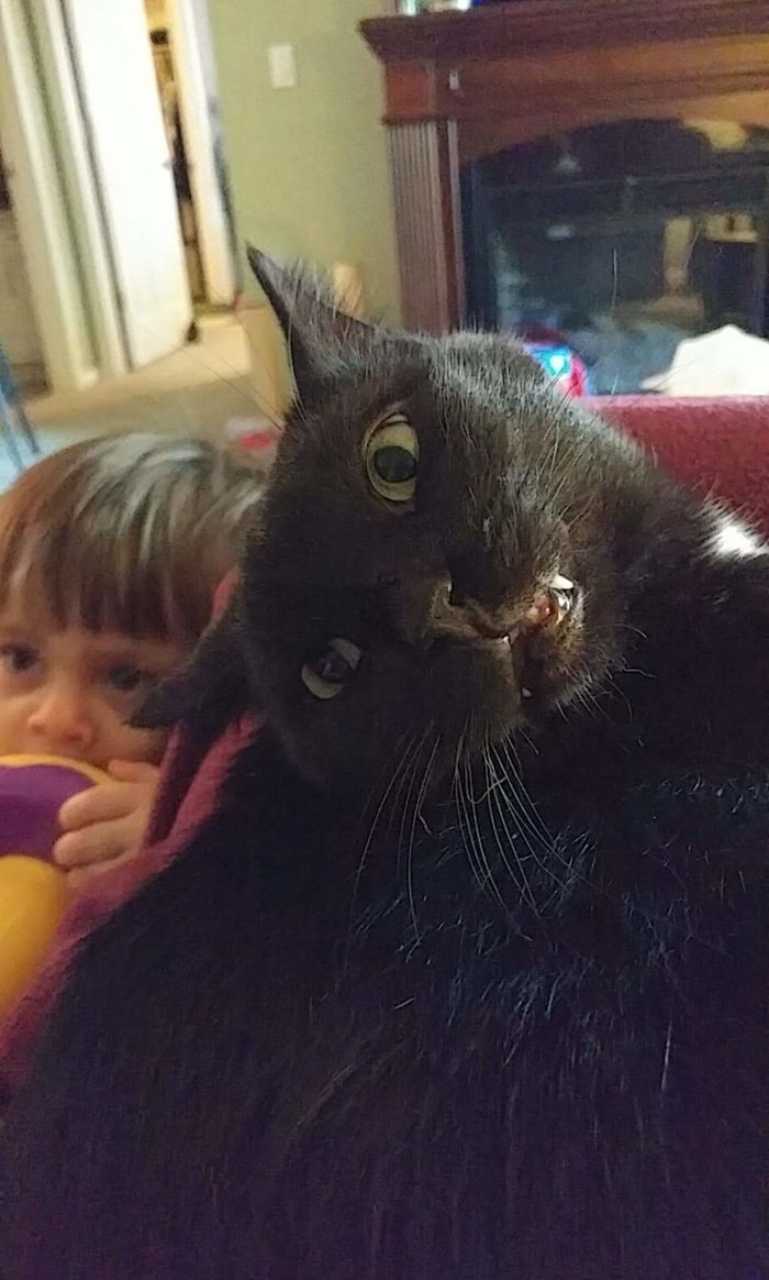 These Are My Boys. One Is Normal, The Other Is Jackson. This Is His "love Me Momma' Face