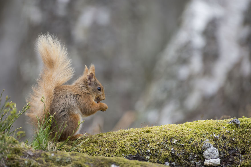 I Spent Time With These Wonderful Creatures