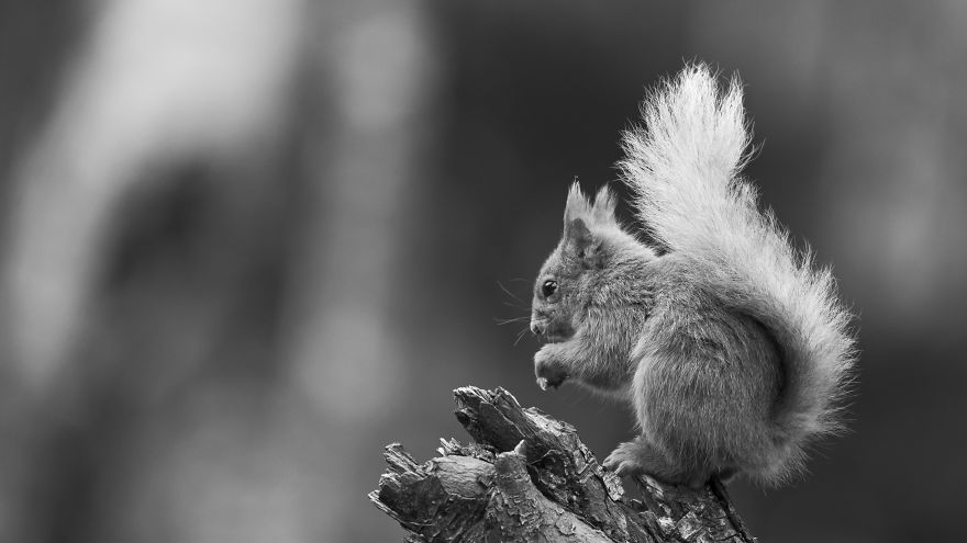 I Spent Time With These Wonderful Creatures