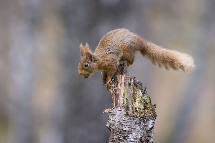 I Spent Time With These Wonderful Creatures