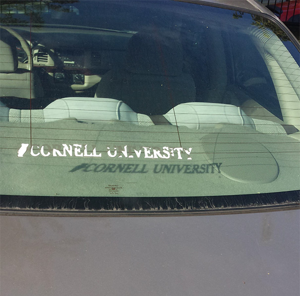 This Shadow Is More Legible Than Its Source