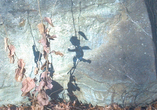 Shadow Of Some Leaves, Looks Like A Child Running