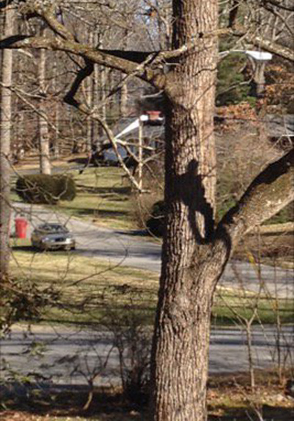 This Shadow That Looks Like A Lonely Man Sitting In A Tree