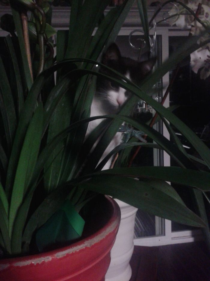 Just When You Thought It Was Safe....