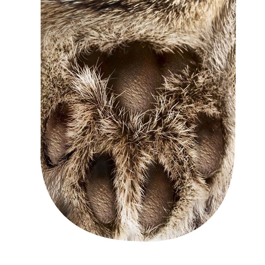 Realistic Animal Socks Will Make You Look Like You Have Animal Paws Realistic Animal Socks Will Make You Look Like You Have Animal Paws