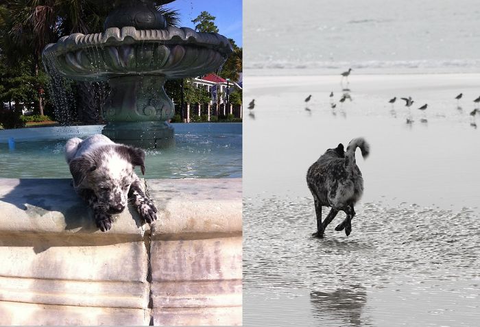 The Spots Just Kept Coming