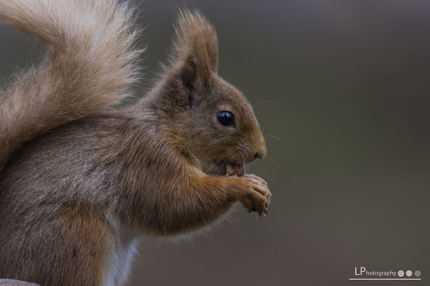 I Spent Time With These Wonderful Creatures