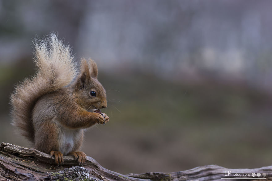 I Spent Time With These Wonderful Creatures