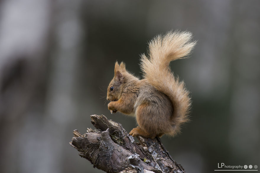 I Spent Time With These Wonderful Creatures