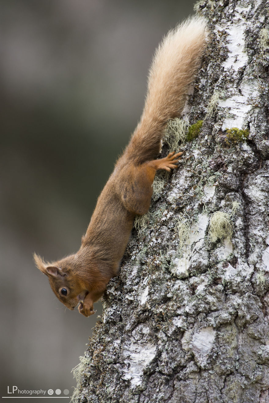 I Spent Time With These Wonderful Creatures