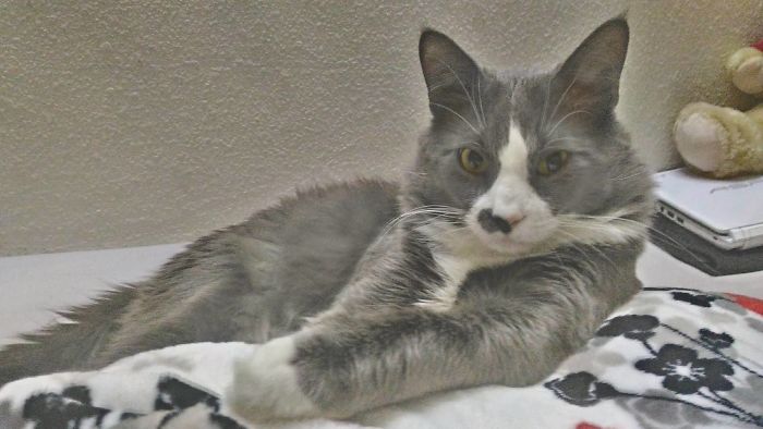 When He Tries To Strike A Pose