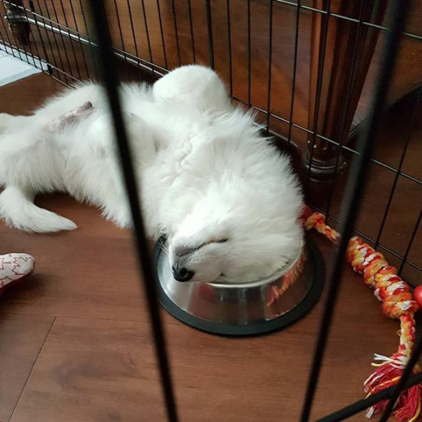 This Is How You Use It Right ?