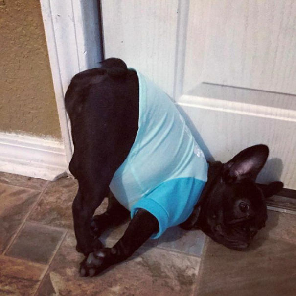 Barely Making It To Friday Like