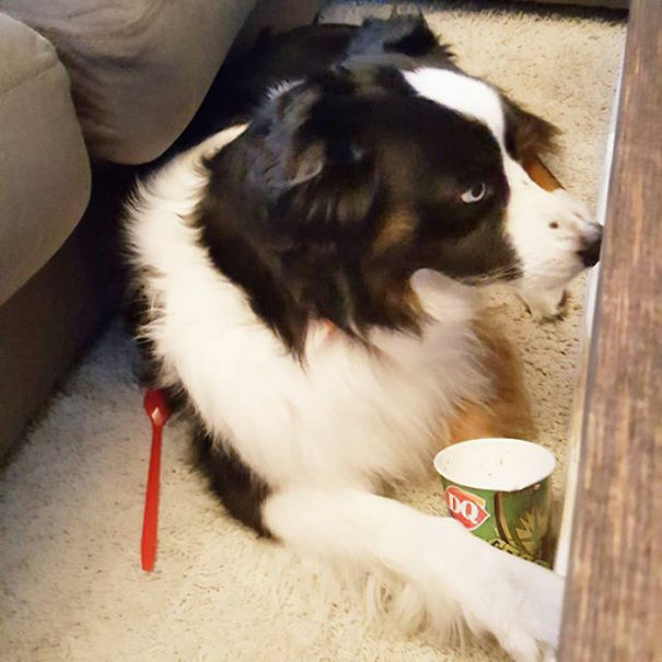 Caught Red Spooned And Won't Even Make Eye Contact